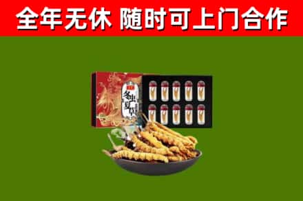 琼中回收冬虫夏草价格