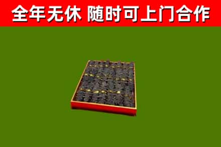 琼中回收海参
